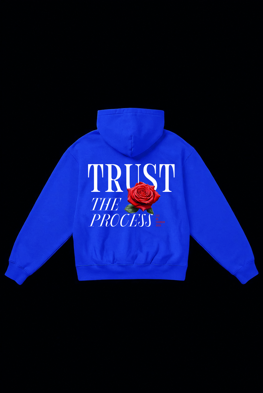 Hoodie TRUST THE PROCESS